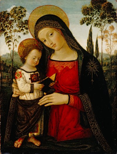 Madonna en Kind, c.1490-1495 door Bernardino di Betto Pinturicchio